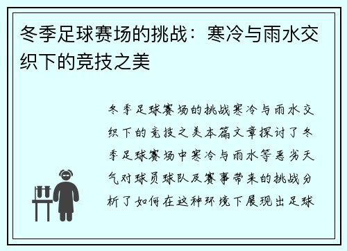冬季足球赛场的挑战：寒冷与雨水交织下的竞技之美