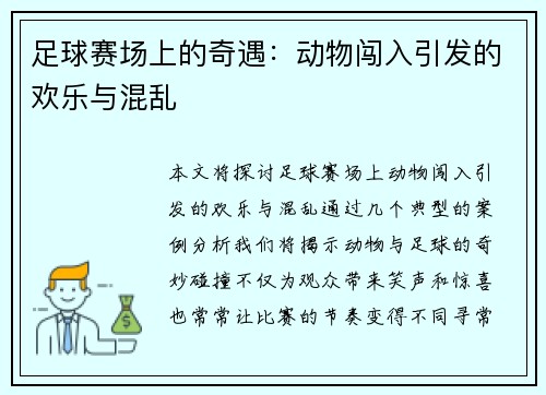 足球赛场上的奇遇：动物闯入引发的欢乐与混乱