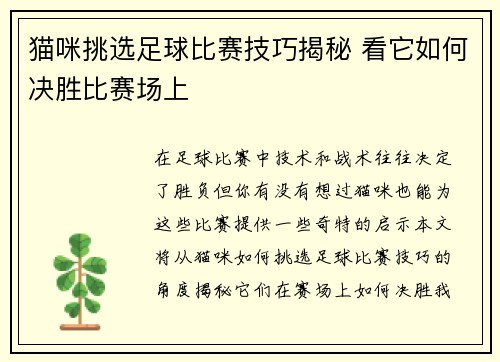 猫咪挑选足球比赛技巧揭秘 看它如何决胜比赛场上