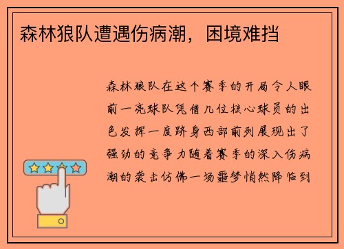 森林狼队遭遇伤病潮，困境难挡