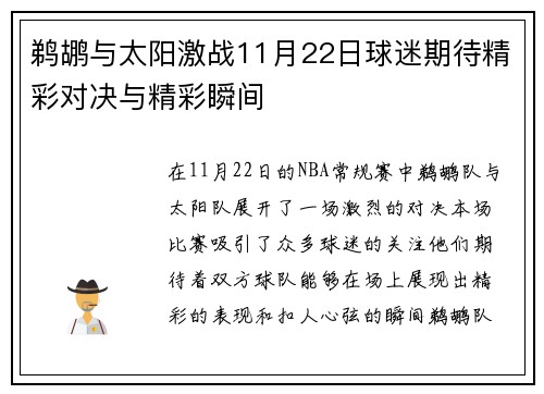 鹈鹕与太阳激战11月22日球迷期待精彩对决与精彩瞬间